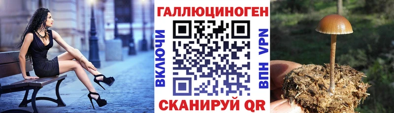 Псилоцибиновые грибы MAGIC MUSHROOMS  Хасавюрт 