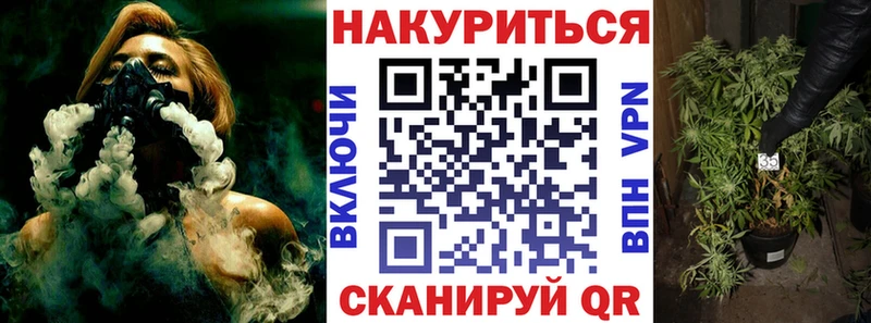 Бошки марихуана планчик  MEGA рабочий сайт  Хасавюрт 